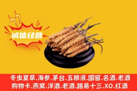 乌海乌达区回收冬虫夏草
